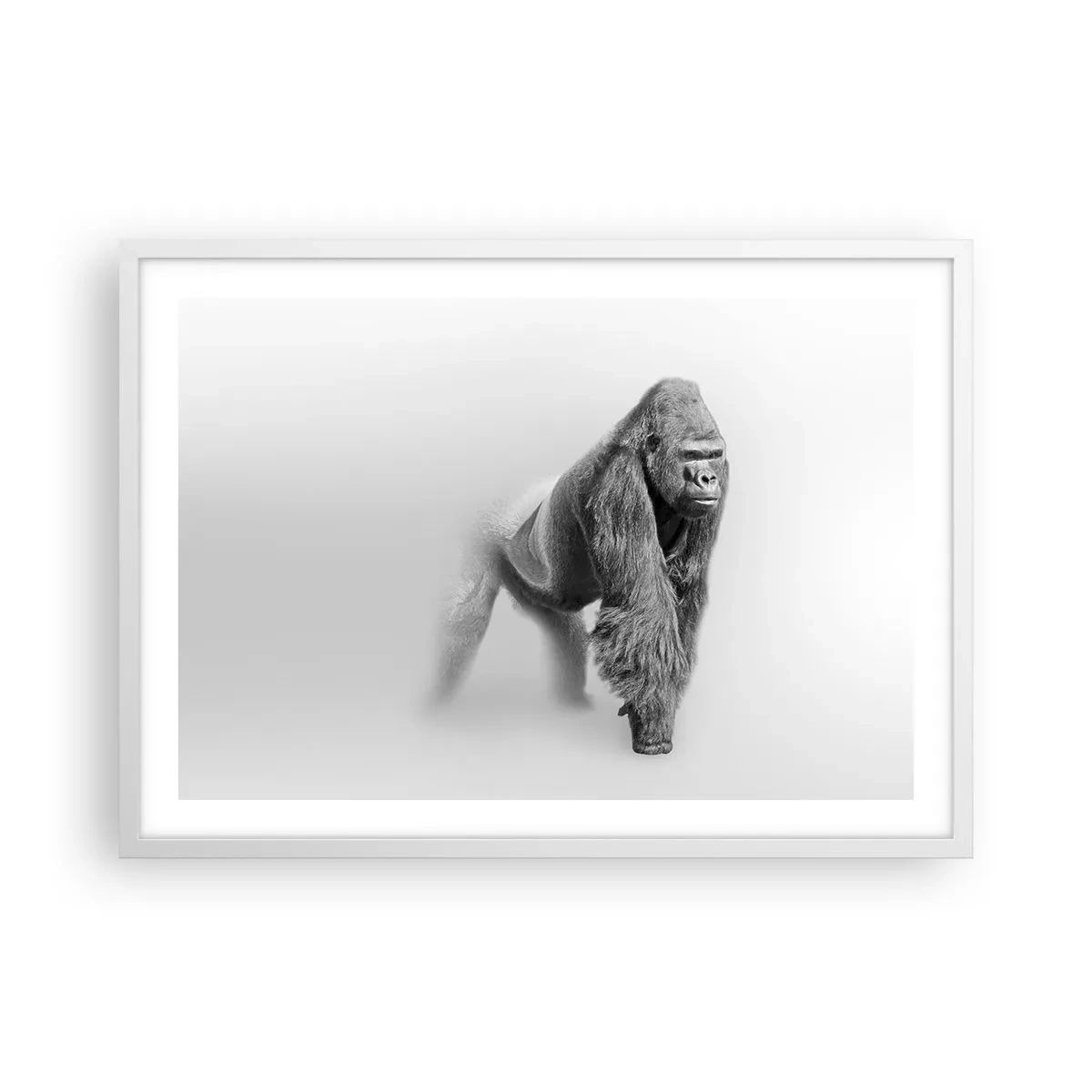 Plakat w białej ramie - Pewny swej siły - 70x50 cm