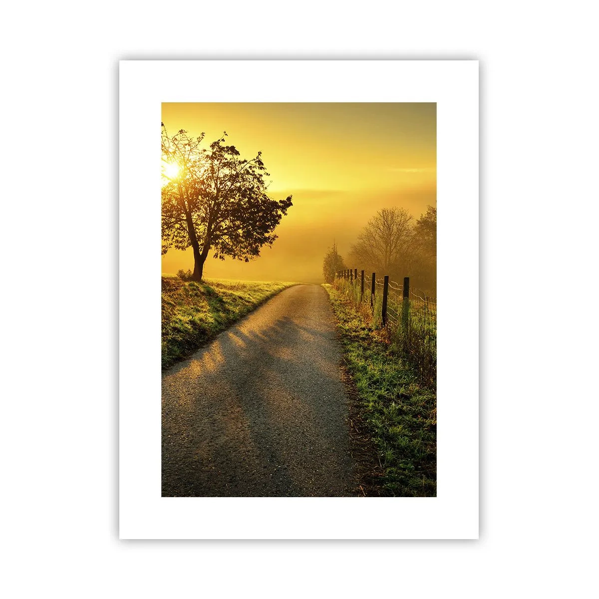 Plakat - Miodne popołudnie - 30x40 cm