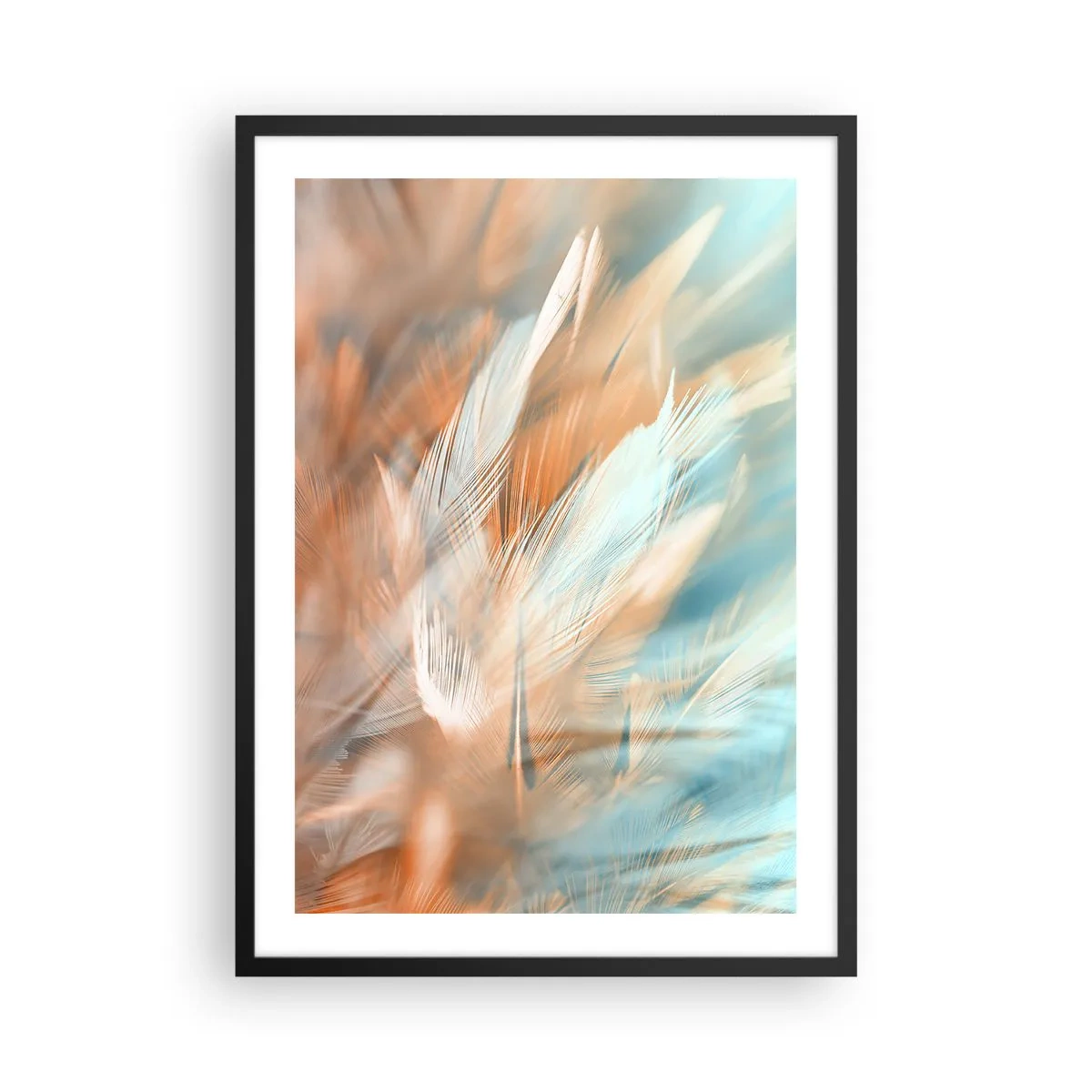 Plakat w czarnej ramie - Delikatne pióra w odcieniach błękitu i brzoskwini - 50x70cm - W krainie łagodności - Nowoczesna dekoracja ścienna do salonu i sypialni ARTTOR