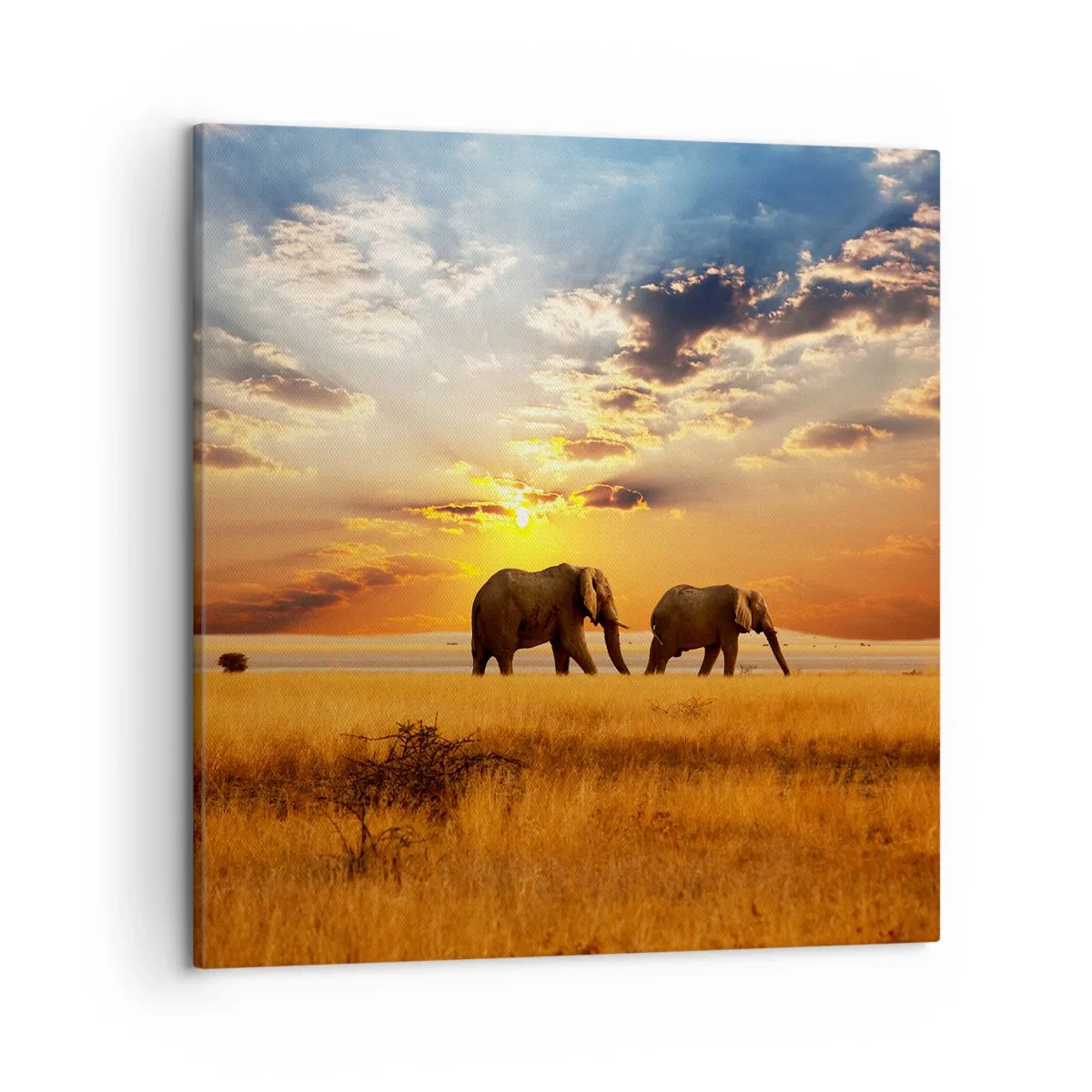 Obraz na płótnie - Rodzinna przechadzka - 50x50 cm