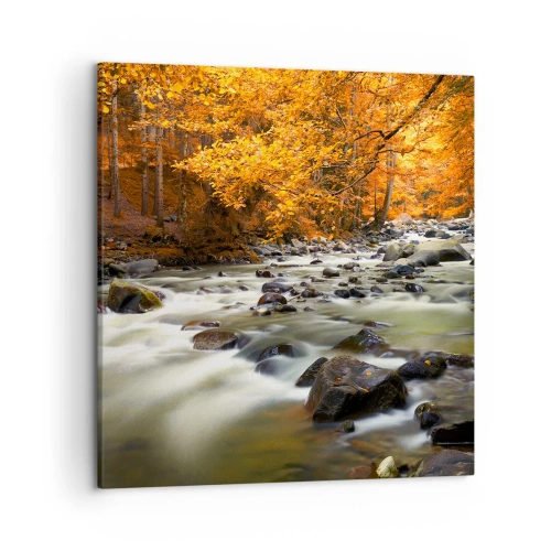 Obraz na płótnie - Potok w złotym lesie - 50x50 cm