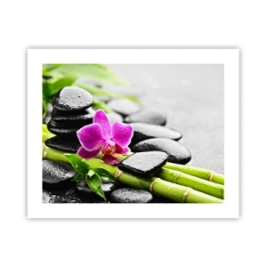 Plakat - W spokojnej równowadze - 50x40 cm