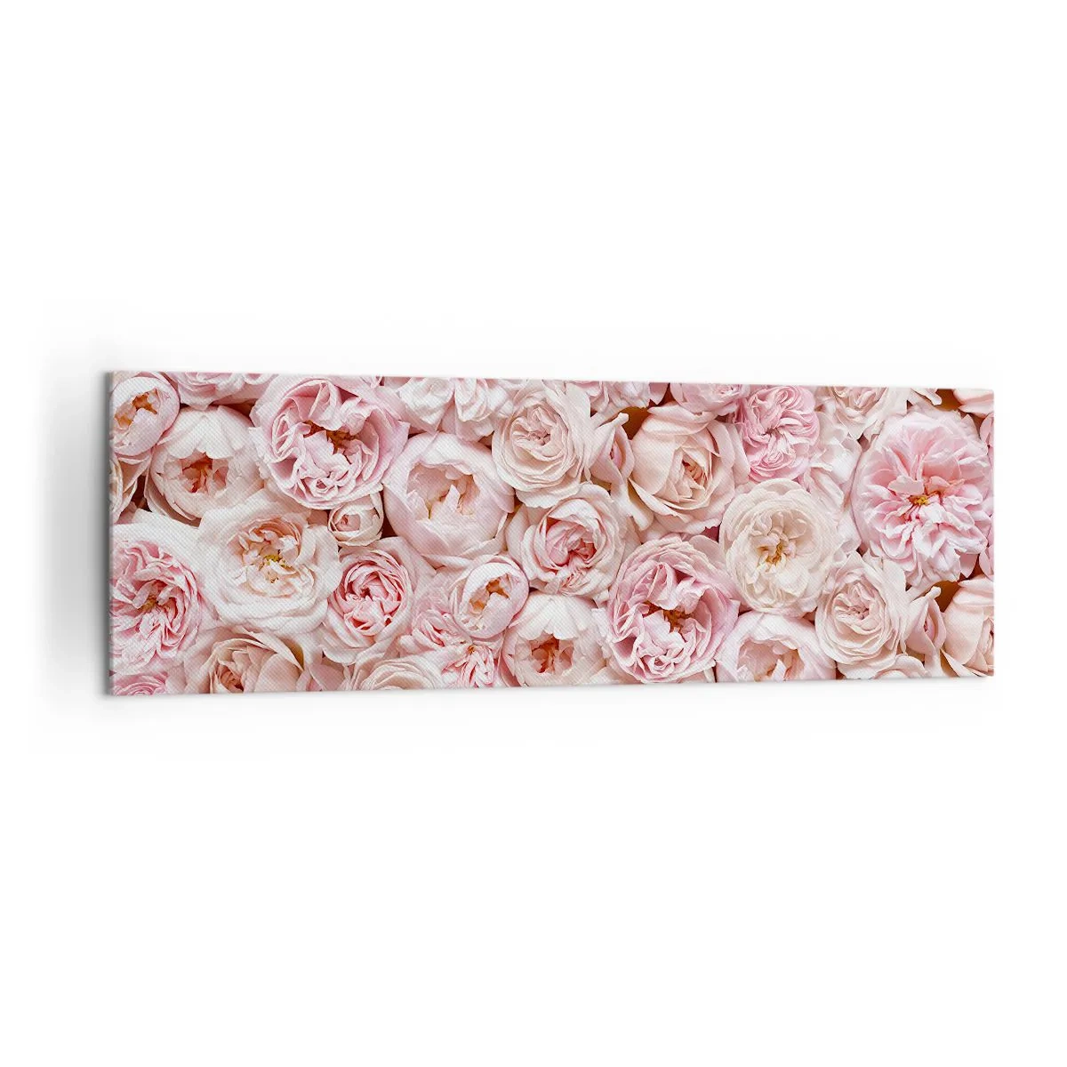 Obraz na płótnie - Delikatne róże w odcieniach różu na całej powierzchni - 160x50cm - Usłane różami - Nowoczesna dekoracja ścienna do salonu i sypialni ARTTOR
