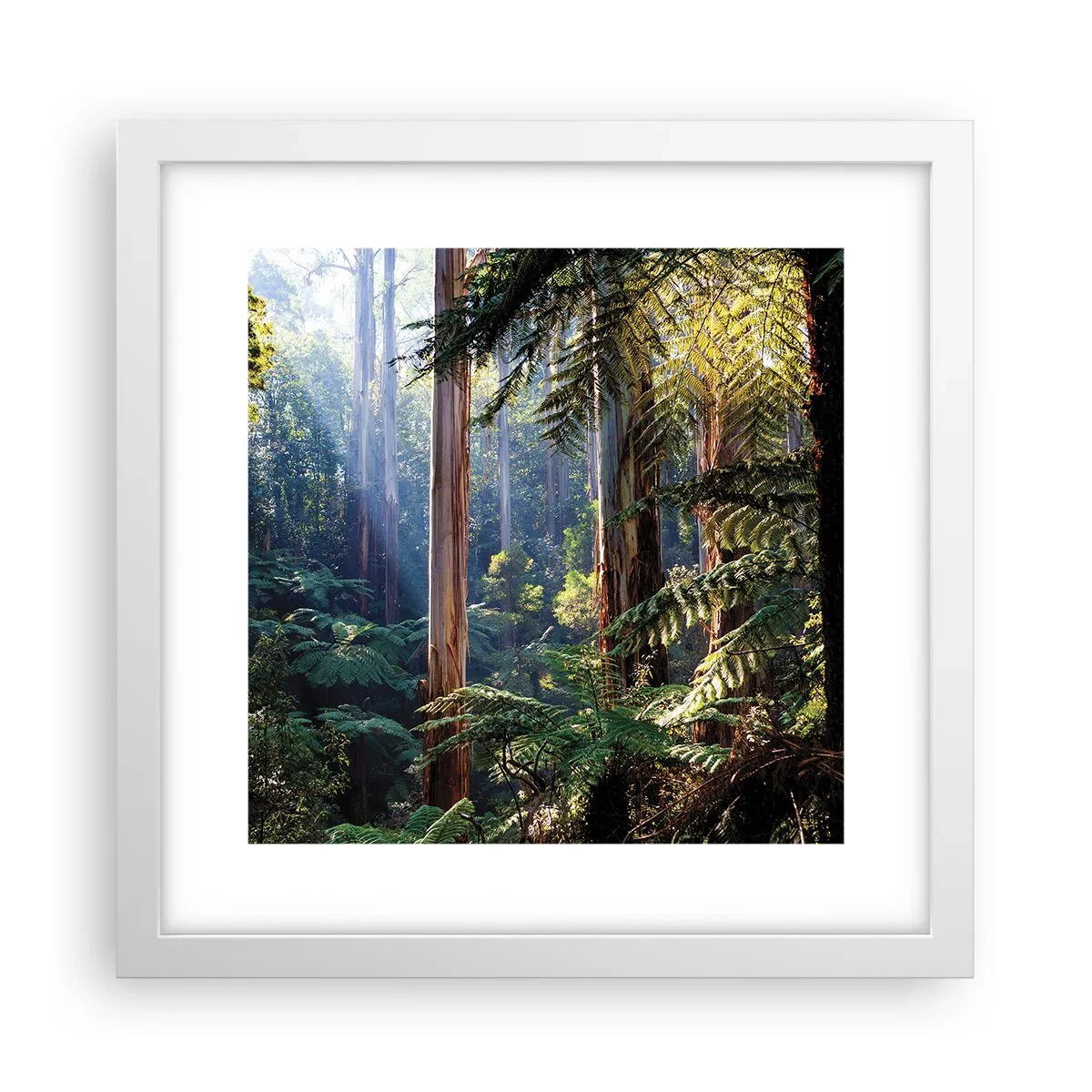 Plakat w białej ramie - Baśń lasu - 30x30 cm