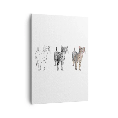 Obraz na płótnie - Ewolucja rysunku kota w trzech etapach - 50x70cm - Lekcja rysunku - Nowoczesna dekoracja ścienna do salonu, kuchni i sypialni ARTTOR