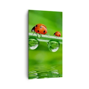 Obraz na płótnie - W drodze całe lato - 55x100 cm