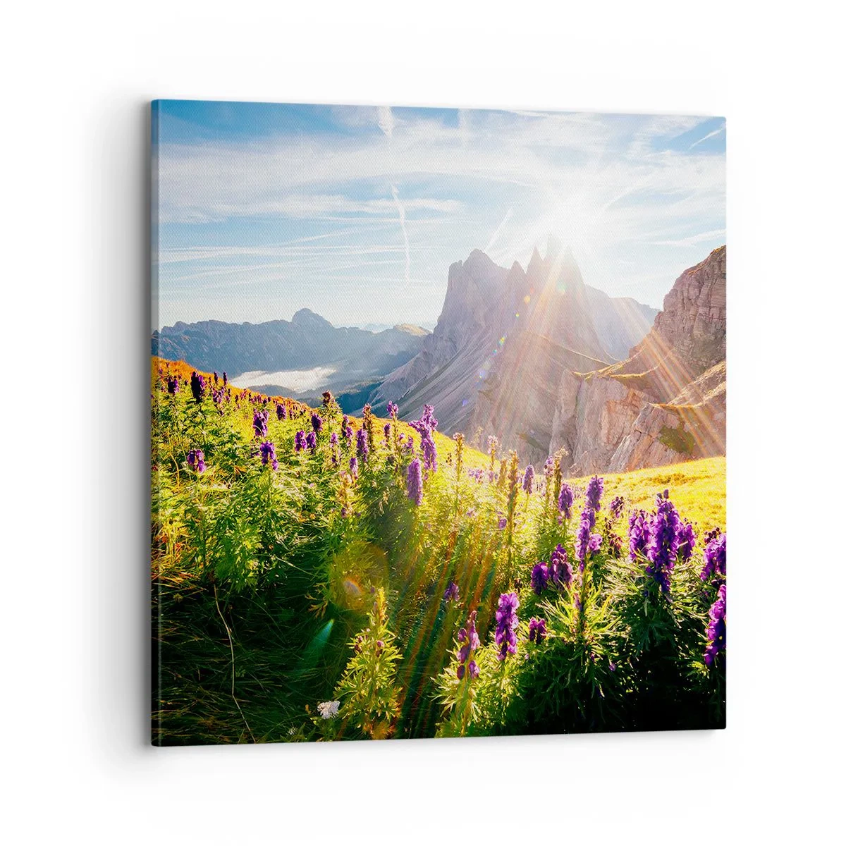 Obraz na płótnie - Sekretne życie ziół - 70x70 cm