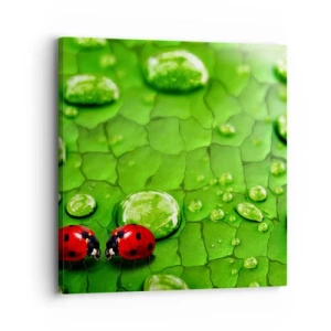 Obraz na płótnie - Spotkanie w zieleni - 30x30 cm