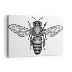 Obraz na płótnie - Rysunkowy motyw pszczoły na białym tle w minimalistycznym stylu - 100x70cm - Owadzi portret - Nowoczesna dekoracja ścienna do salonu, kuchni i sypialni ARTTOR