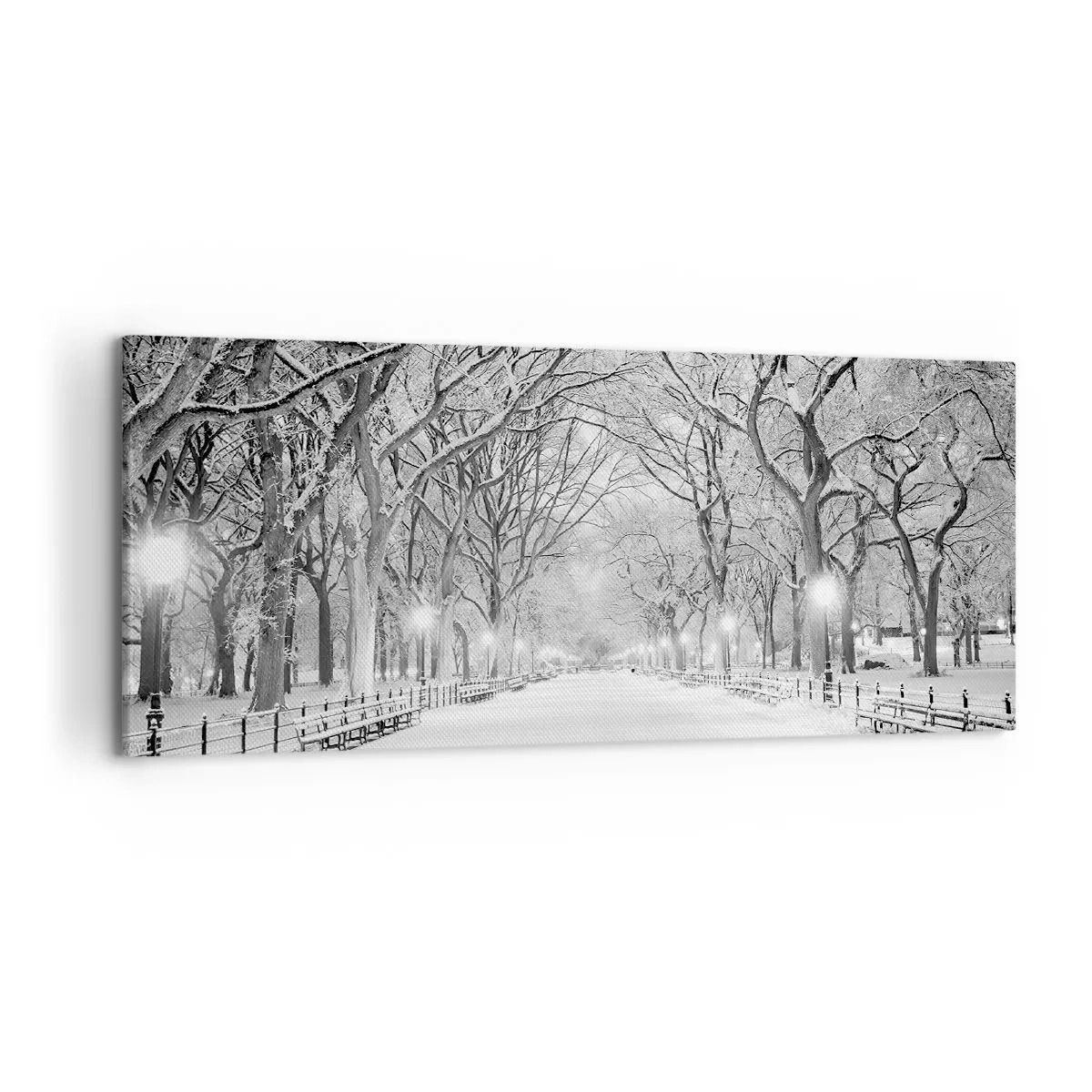 Obraz na płótnie - Zimowa alejka z drzewami pokrytymi śniegiem w monochromatycznym ujęciu - 120x50cm - Cztery pory roku – zima - Nowoczesna dekoracja ścienna do salonu i sypialni ARTTOR