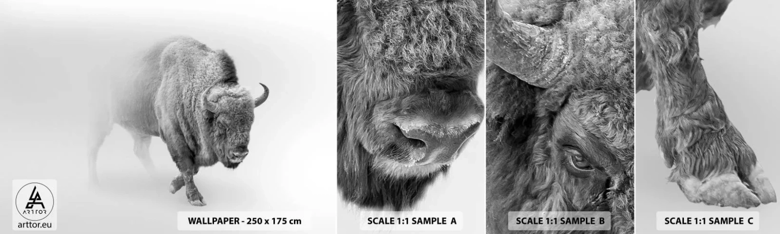 Fototapeta Próbka Samoprzylepna Deluxe Sticker - Król prerii - Żubr, Zwierzęta, Bizon - 100x30 cm