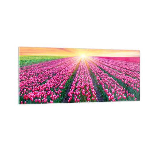 Obraz na szkle - Farma piękności - 100x40 cm