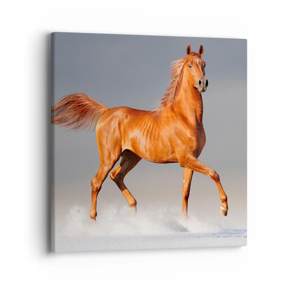 Obraz na płótnie - Tańcząca gracja - 40x40 cm