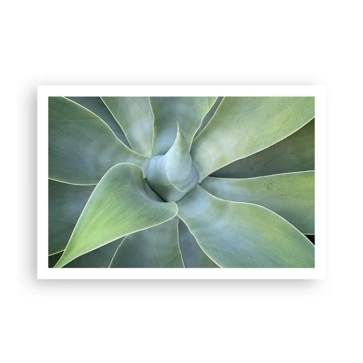 Plakat - Narodziny zieleni - 91x61 cm