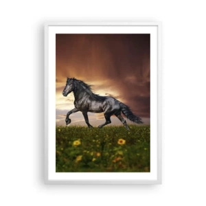 Plakat w białej ramie - Czarny książę - 50x70 cm