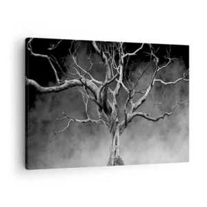 Obraz na płótnie - Suche drzewo w czerni i bieli na tle mgły - 70x50cm - Pierwotne i święte - Nowoczesna dekoracja ścienna do salonu i sypialni ARTTOR