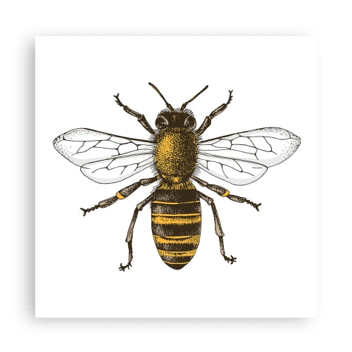 Plakat - Piękna i dobra - 60x60 cm