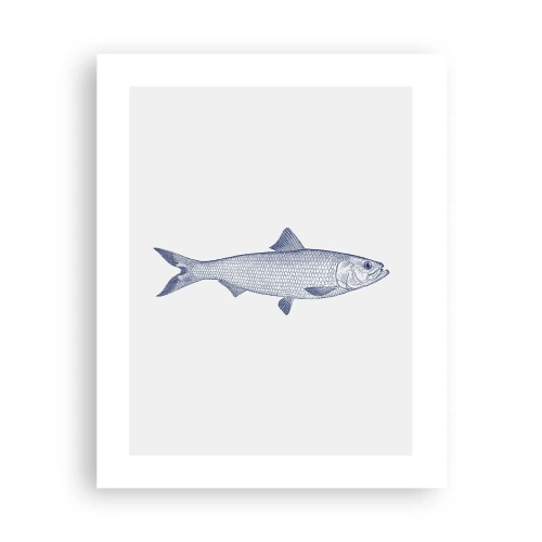 Plakat - Pozdrowienia z północnych mórz - 40x50 cm