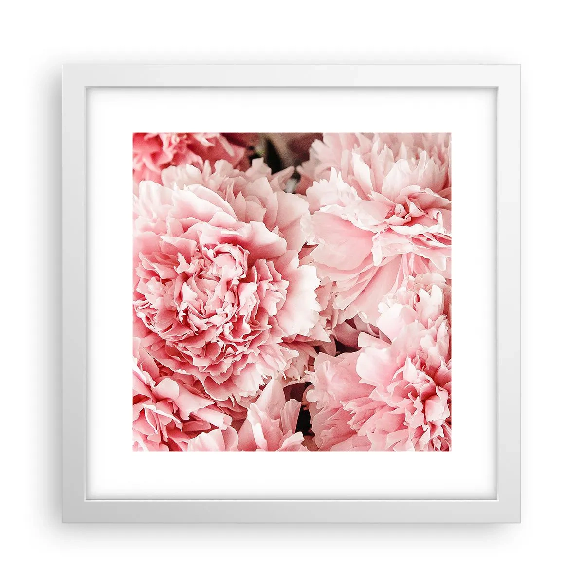 Plakat w białej ramie - Różowe marzenie - 30x30 cm