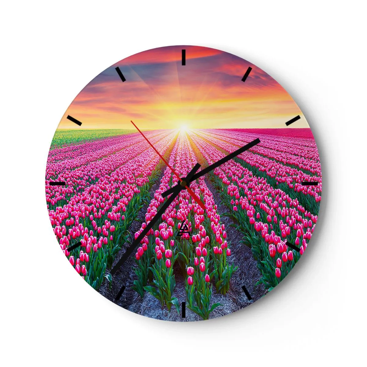 Zegar ścienny - Pole czerwonych tulipanów o zachodzie słońca - 30x30cm - Farma piękności - Nowoczesna dekoracja ścienna do salonu, kuchni i sypialni ARTTOR