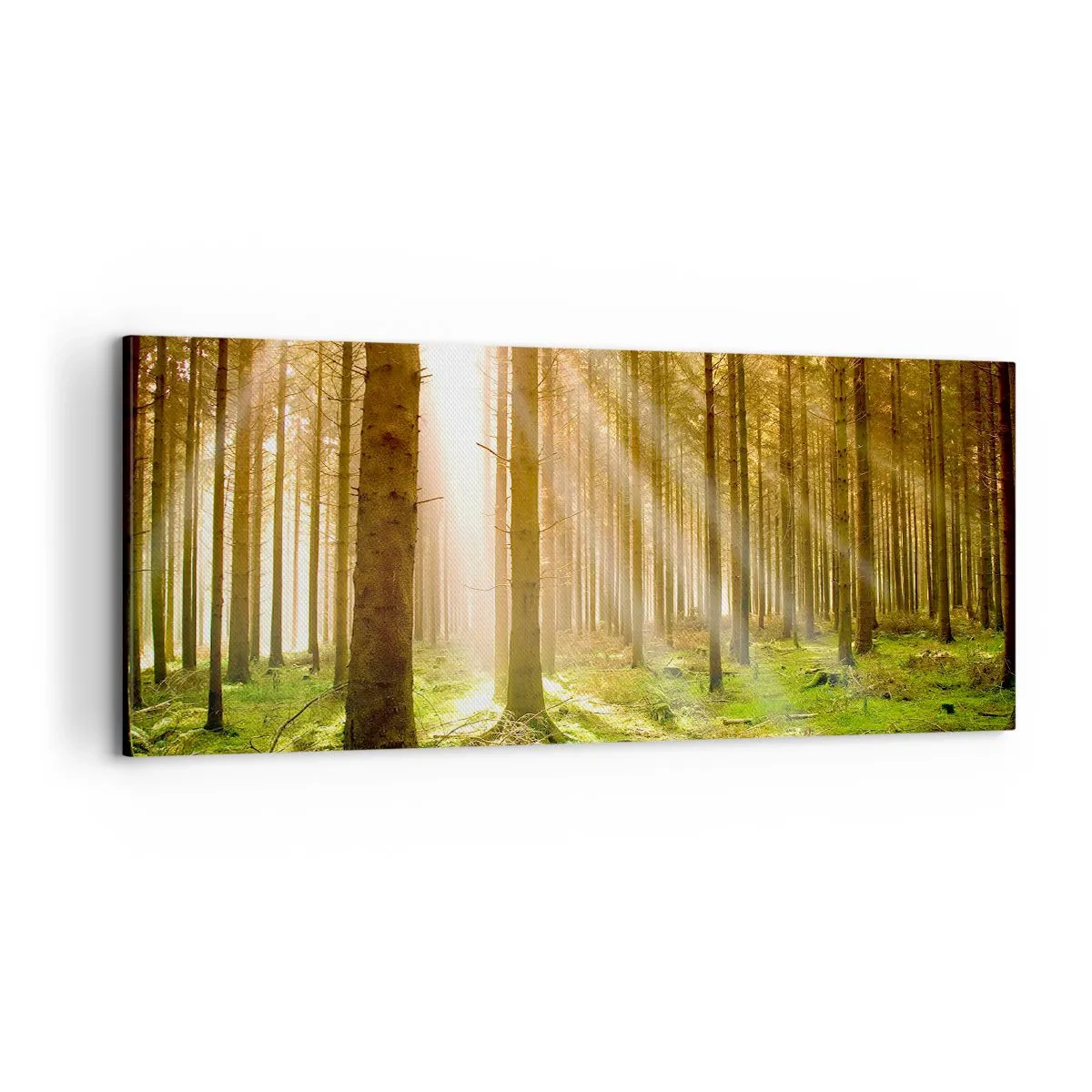 Obraz na płótnie - Zaraz pojawią się elfy - 100x40 cm