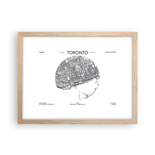 Plakat w ramie jasny dąb - Anatomia Toronto - 40x30 cm