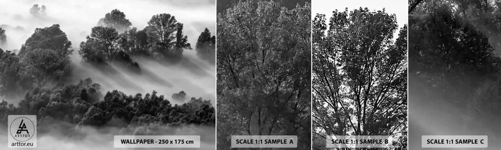 Fototapeta Próbka Samoprzylepna Deluxe Sticker - Wstający ze snu - Krajobraz, Las, Mgła - 100x30 cm