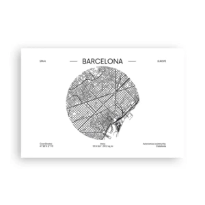Plakat - Anatomia Barcelony - 91x61 cm