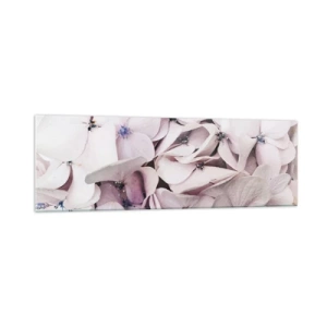 Obraz na szkle - Delikatne białe hortensje w pastelowej tonacji - 160x50cm - W powodzi kwiatów - Nowoczesna dekoracja ścienna do salonu i sypialni ARTTOR