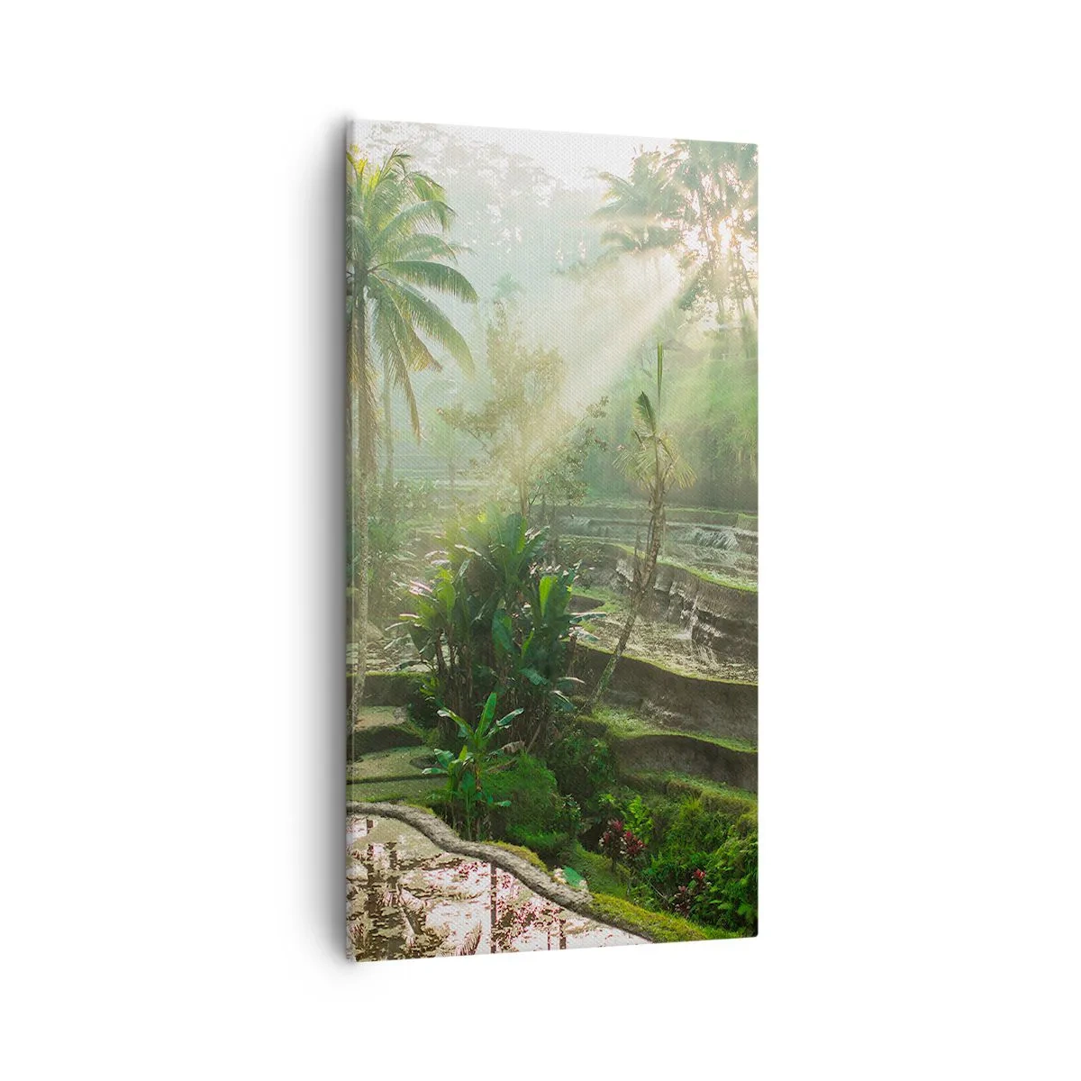 Obraz na płótnie - Dorastać w słońcu - 55x100 cm