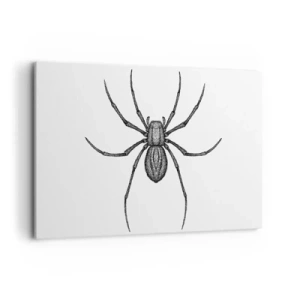 Obraz na płótnie - Detale pająka na białym tle w stylu rysunkowym - 100x70cm - Niepokojąca precyzja - Nowoczesna dekoracja ścienna do salonu, kuchni i sypialni ARTTOR