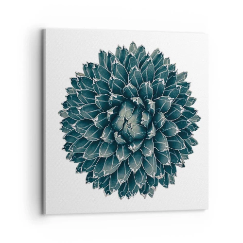 Obraz na płótnie - Gwiazda pustyni - 70x70 cm