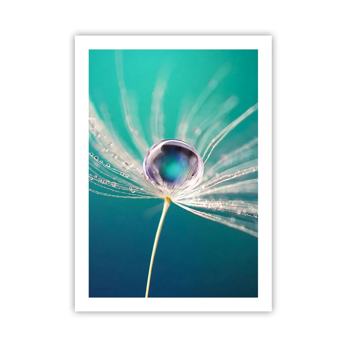Plakat - Makrofotografia kropli wody na dmuchawcu - 50x70cm - Mistyczna chwila - Nowoczesna dekoracja ścienna do salonu, kuchni i sypialni ARTTOR