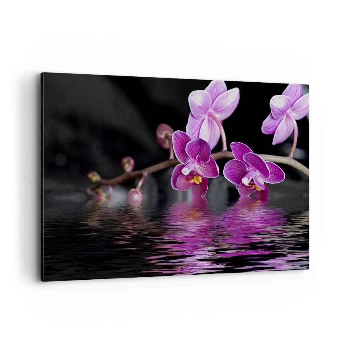 Obraz na płótnie - Fioletowe orchidee nad spokojną wodą na tle czarnym - 120x80cm - Liliowe odbicie piękna - Nowoczesna dekoracja ścienna do salonu, kuchni i sypialni ARTTOR