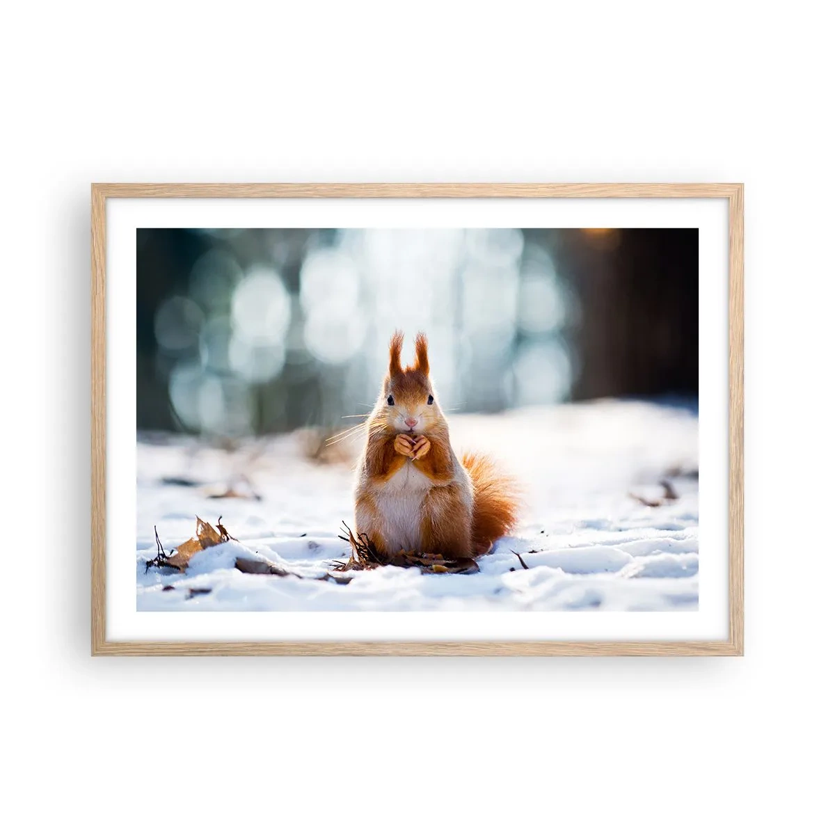 Plakat w ramie jasny dąb - I co tak patrzysz? - 70x50 cm