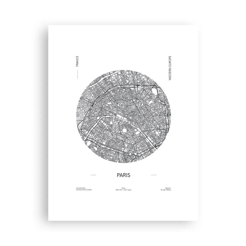 Plakat - Anatomia Paryża - 30x40 cm