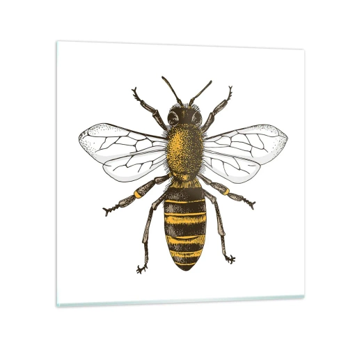 Obraz na szkle - Piękna i dobra - 70x70 cm