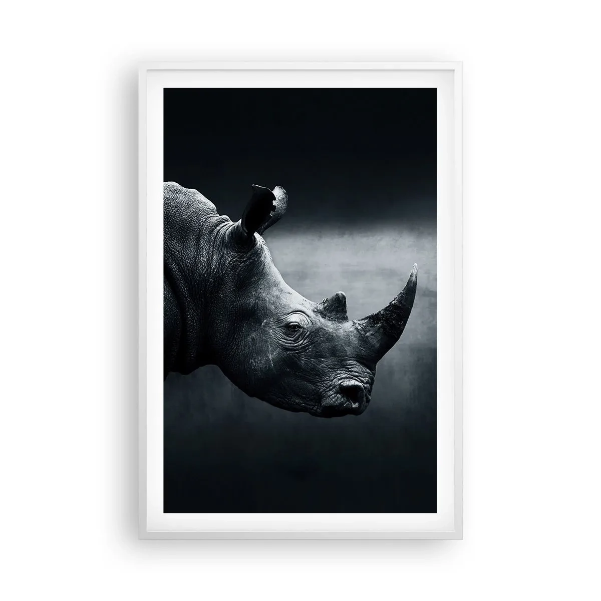 Plakat w białej ramie - Prawy profil - 61x91 cm