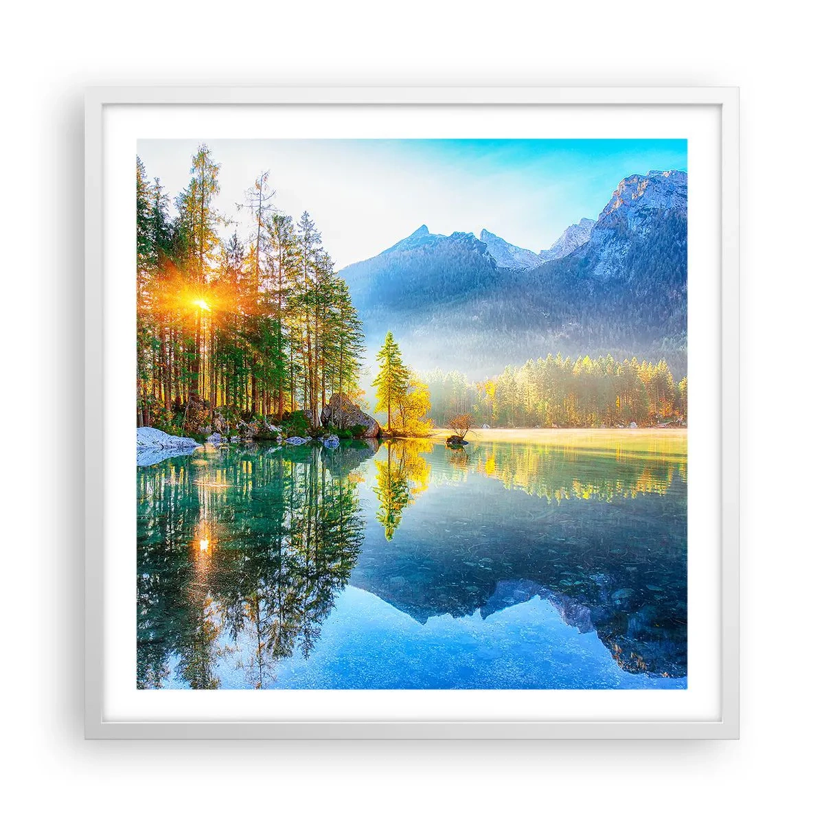 Plakat w białej ramie - Majestat i słodycz - 60x60 cm