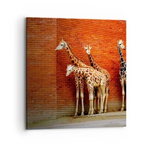 Obraz na płótnie - Widzicie jakąś akację? - 70x70 cm
