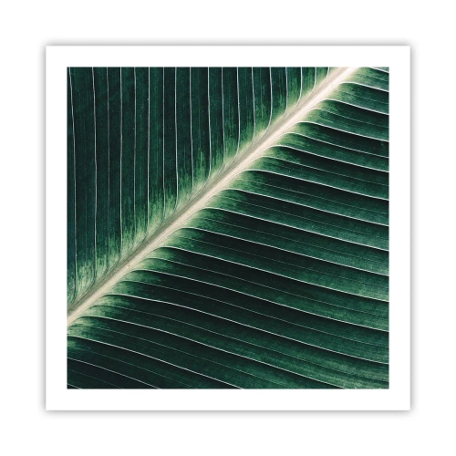 Plakat - Rytm natury - 60x60 cm