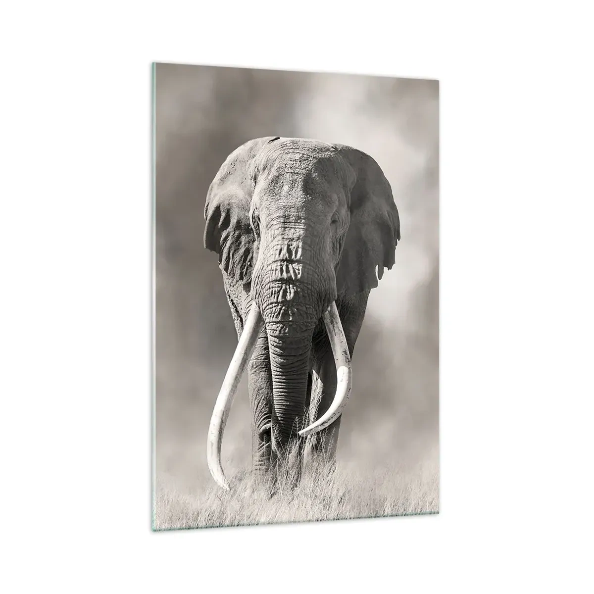 Obraz na szkle - Monochromatyczny portret majestatycznego słonia afrykańskiego na sawannie - 70x100cm - Afrykański patriarcha - Nowoczesna dekoracja ścienna do salonu i sypialni ARTTOR