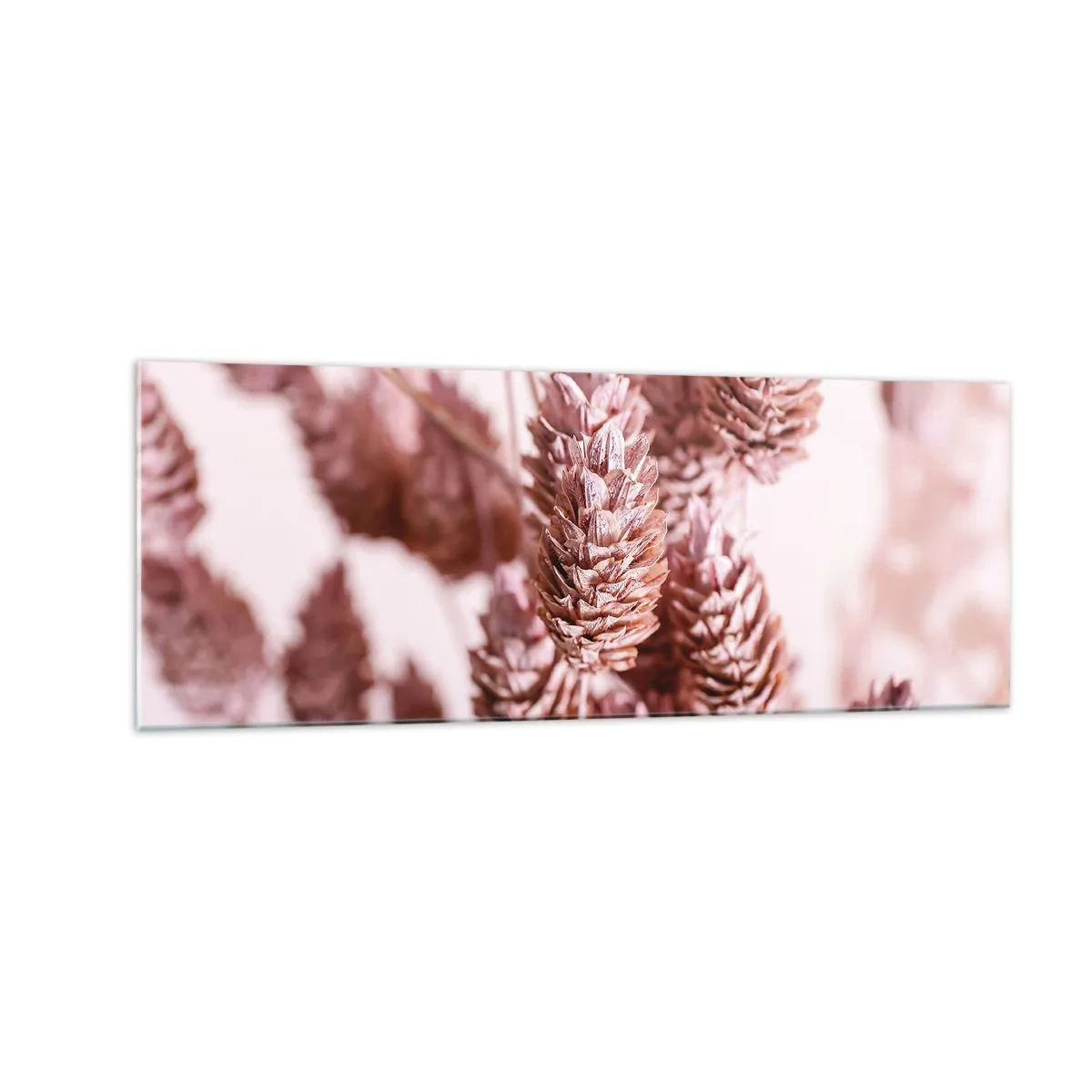Obraz na szkle - Zbliżenie na delikatne różowe kłosy traw ozdobnych - 140x50cm - Z pozoru niepozorne - Nowoczesna dekoracja ścienna do salonu i sypialni ARTTOR