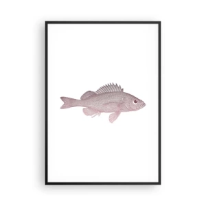 Plakat w czarnej ramie - Ryba wielkooka - 70x100 cm