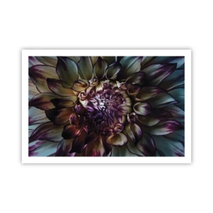 Plakat - Rozkwit młodości - 91x61 cm