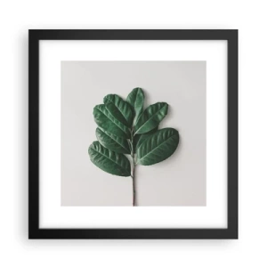 Plakat w czarnej ramie - Rysunek samej natury - 30x30 cm