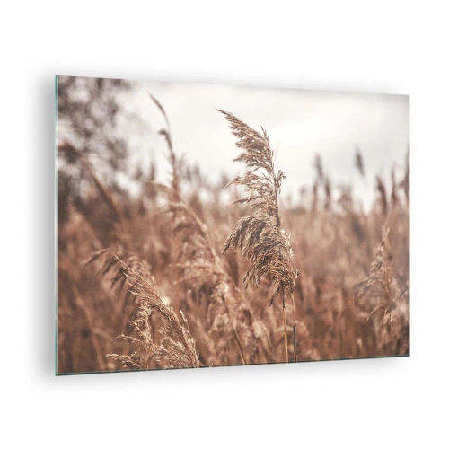 Obraz na szkle - Suszone trawy na wietrze w jesiennym świetle natury - 70x50cm - Na polach już jesień - Nowoczesna dekoracja ścienna do salonu i sypialni ARTTOR