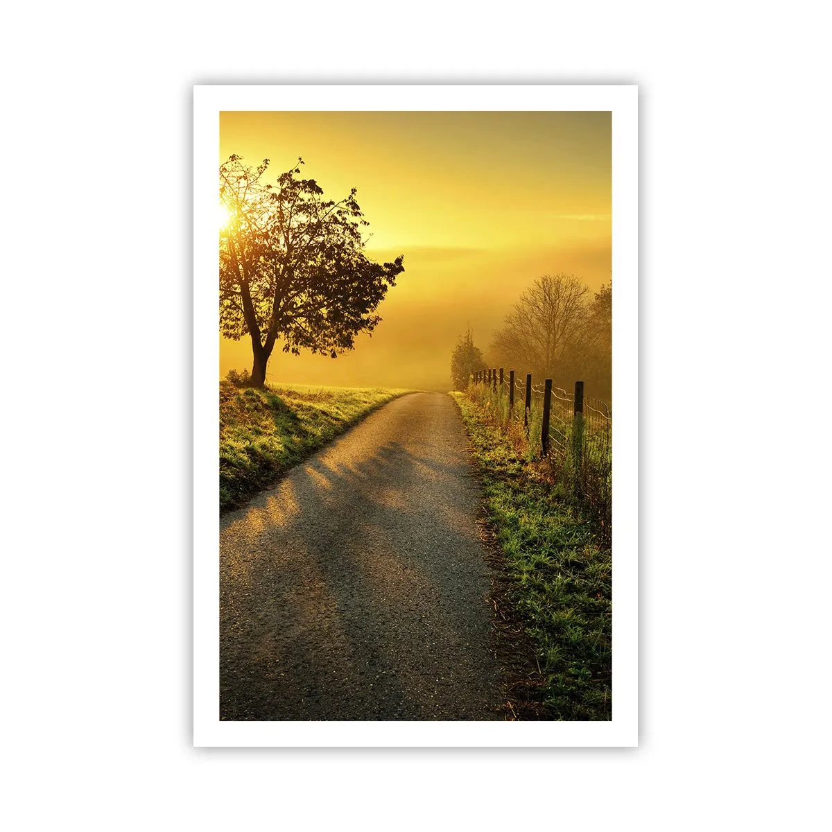 Plakat - Miodne popołudnie - 61x91 cm