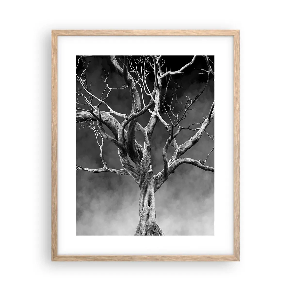 Plakat w ramie jasny dąb - Pierwotne i święte - 40x50 cm