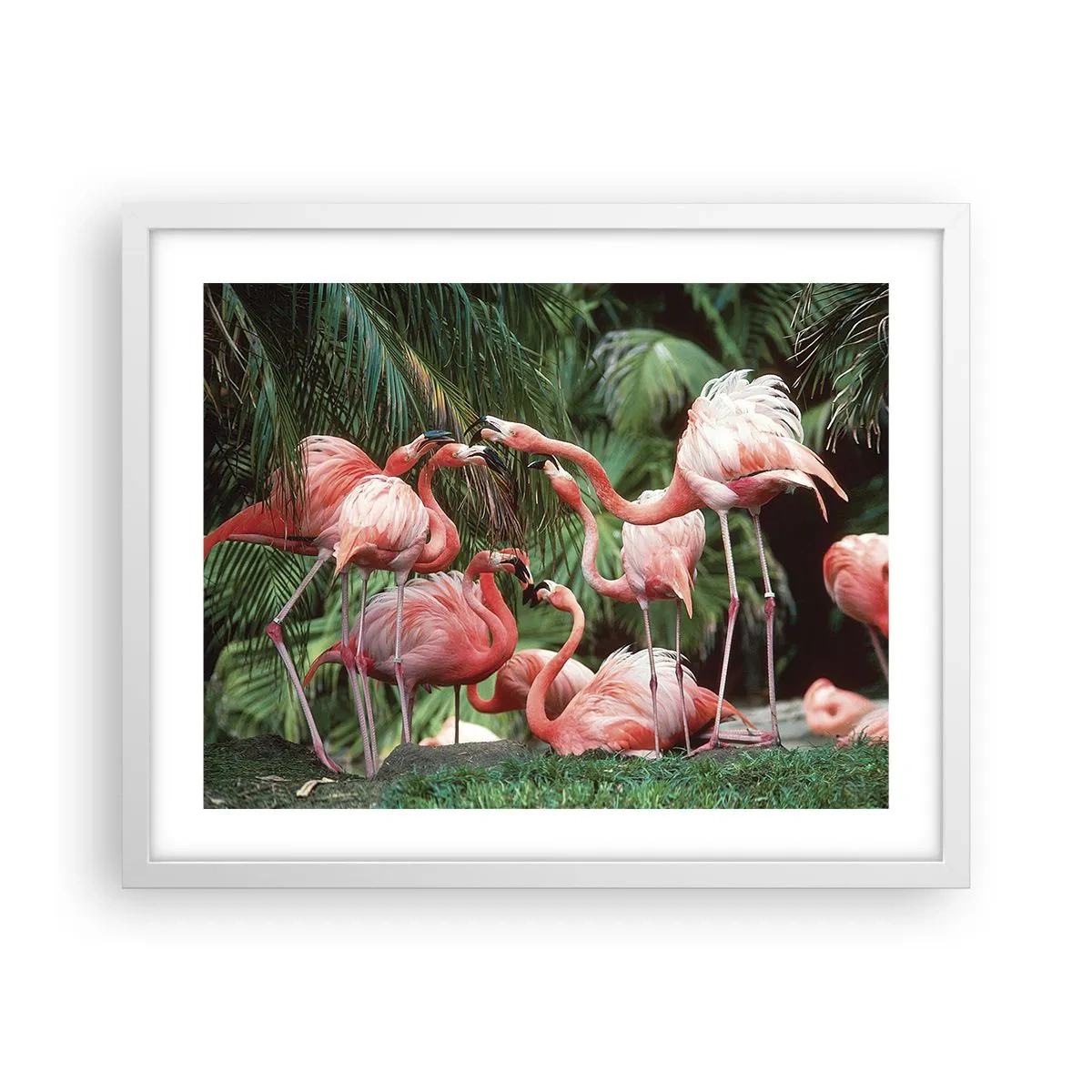 Plakat w białej ramie - Popołudniowe ploteczki - 50x40 cm